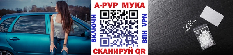 A PVP СК Кадников