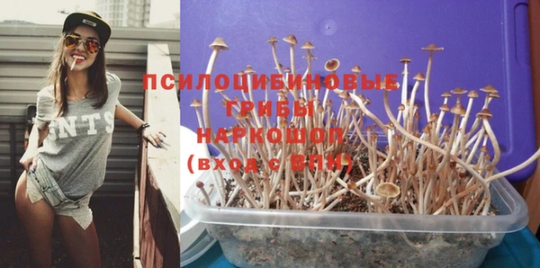 герыч Зеленодольск